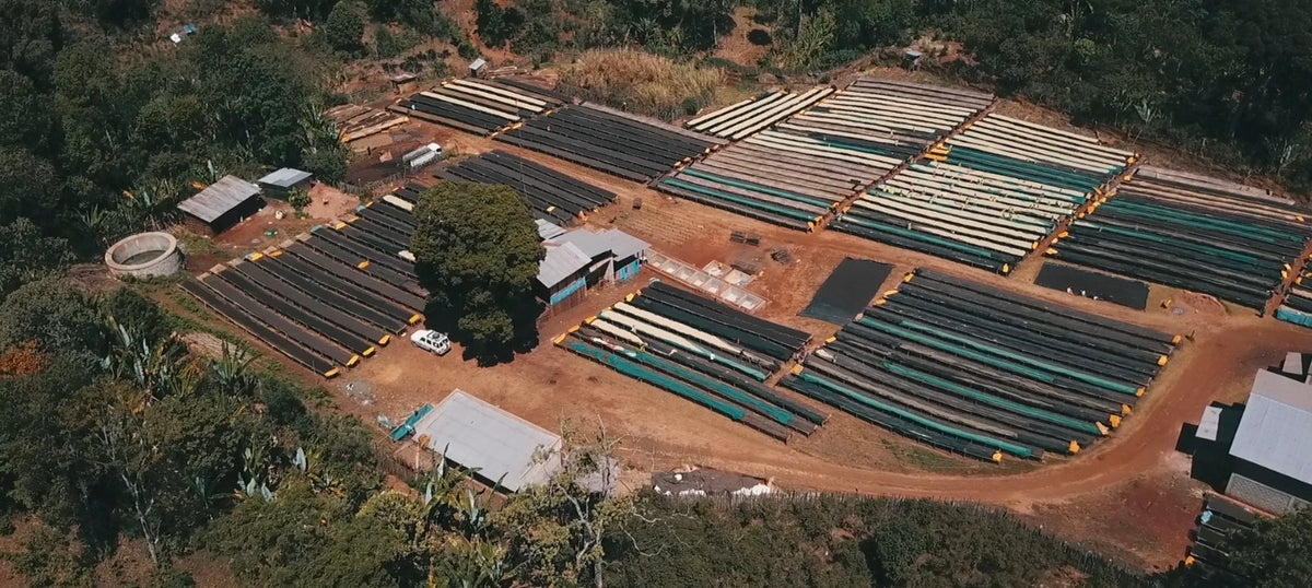 Aerial view of the Wuri Washing Station in Gedeb, Ethiopia